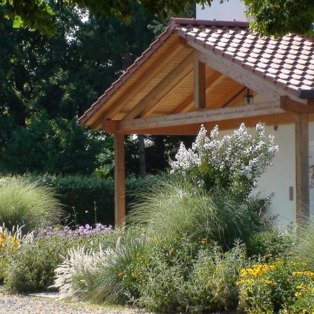 Villa Gina Zero Branco Luaran gambar